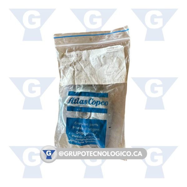SOPORTE DE MOTOR PARA COMPRESORES ATLAS COPCO NP 1613 6752 31 - Imagen 2